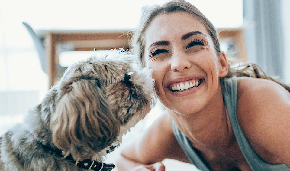 Schöne junge Frau und ihr süßer Hund beim Training zu Hause. 